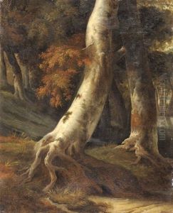 Tronc D'arbre (study) (after Ruisdael)