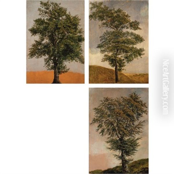 Studies Of Trees (various Sizes; Set Of 3) - view 1