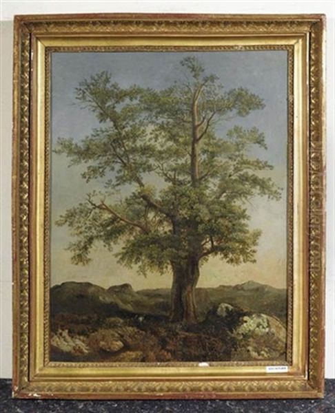 Baum In Landschaft - view 1
