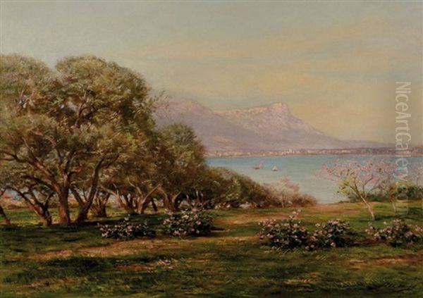 Cote Varoise Au Printemps - view 1