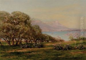 Cote Varoise Au Printemps