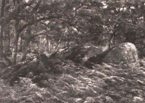 Roches Et Fougeres, Foret De Fontainbleu by Emile Francois Michel