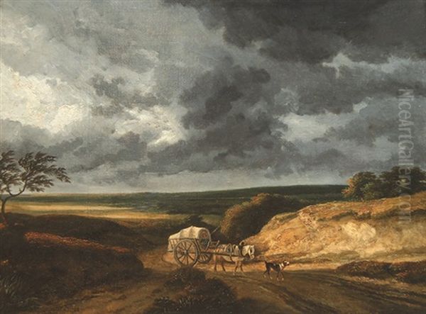 Verhangene Wolken Uber Weiter Landschaft Mit Bauernwagen - view 1