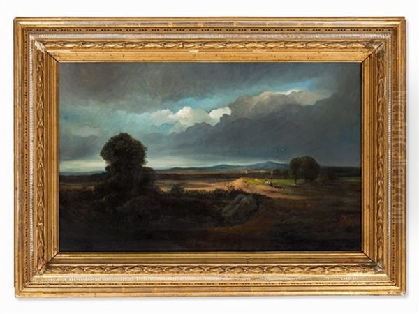 Fields In A Stormy Atmosphere - view 1