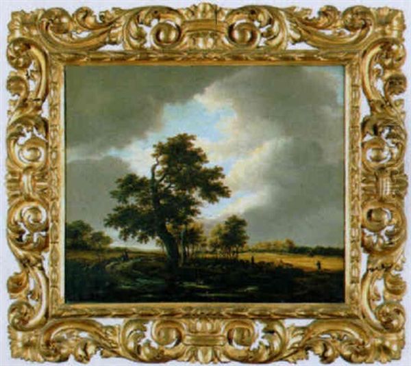 Sommerliche Feldlandschaft - view 1