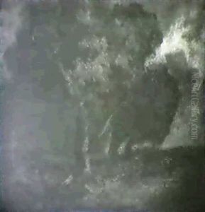 Trees Trees