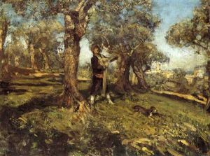 Mattinata Tra Gli Ulivi