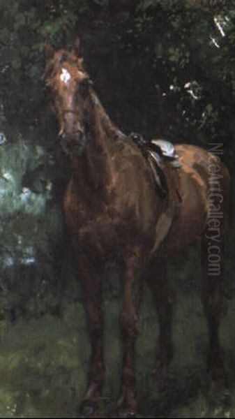 Il Cavallo Di Re Umberto I - view 1