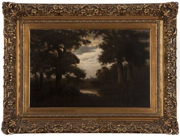 River Through A Forest Landscape - view 1