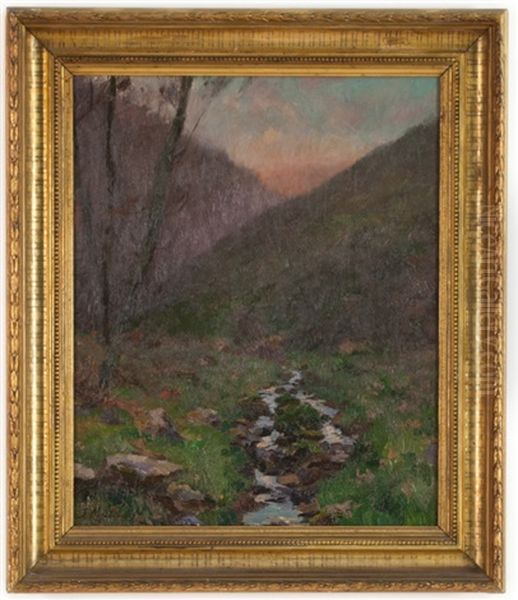 Tranquil Stream At Dusk - view 1