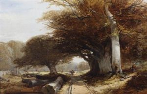 Woodland Scenery