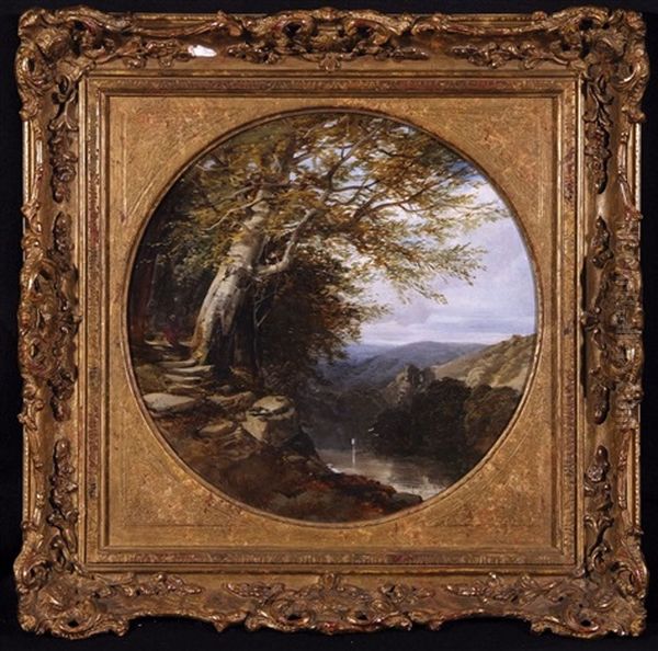 Lakeside Path - view 1