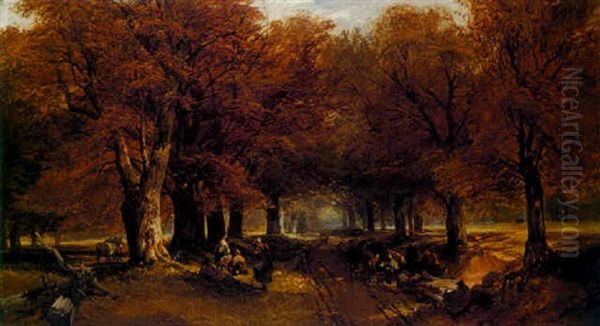 The Forest Lane - view 1