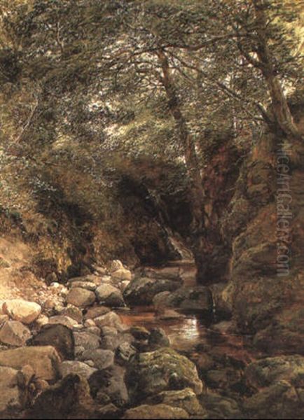 The Stream In June - view 1