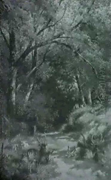 The Woodland Path - view 1