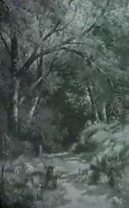 The Woodland Path
