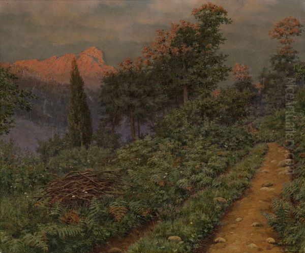 Mountainous Path - view 1