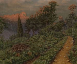 Mountainous Path