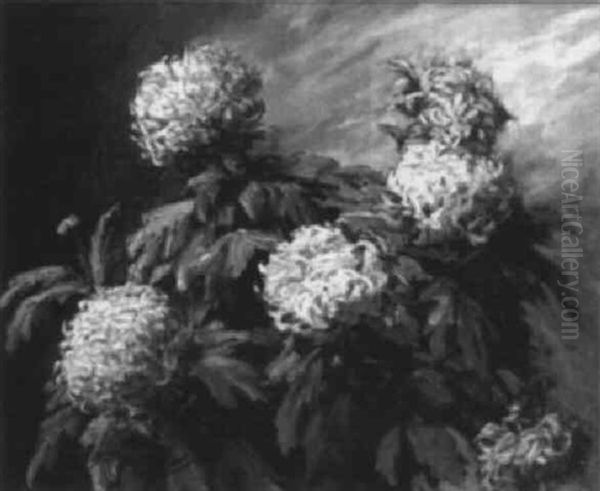 Chrysanthemes - view 1