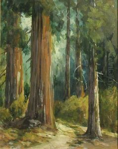 Mariposa Big Trees by Harry Cassie Best