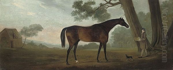 Tattersall's Highflyer - view 1