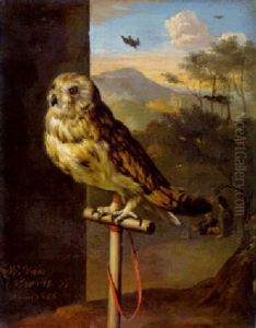 An Owl On A Perch