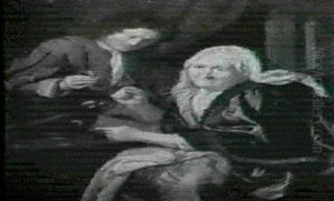 Le Perroquet Favori