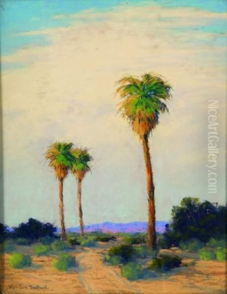 Joshua Tree - view 1