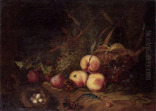 Stilleben Mit Fruchten, Eidechse Und Vogelnest - view 1