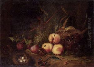 Stilleben Mit Fruchten, Eidechse Und Vogelnest