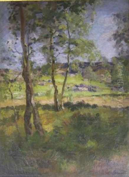 Paysage Au Printemps - view 1