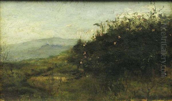 Landscape (to Piatra) - view 1