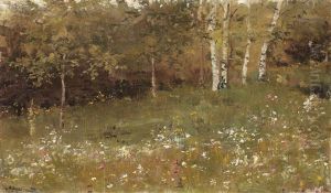 Birches Forest Birches Forest