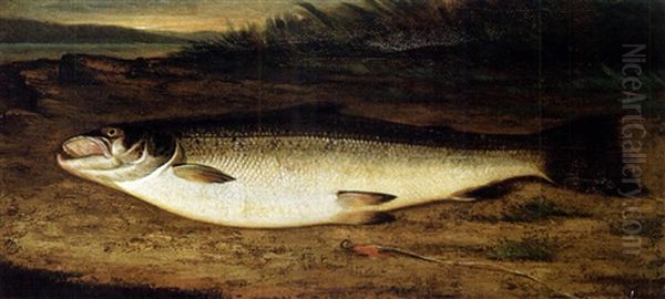 Fish - view 1