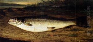 Fish by John Christopher Miles