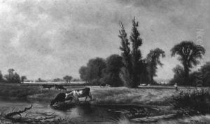 Long Creek, Washademoak by John Christopher Miles