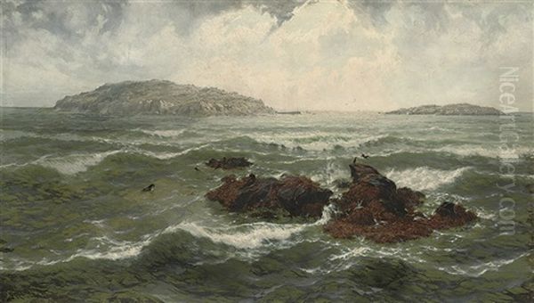 Gulls On A Rocky Outrop - view 1