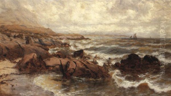 Kelpweed Harvesters, Gorteen Bay, Connemara - view 1