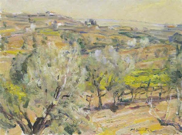 Dopo La Pioggia - view 1