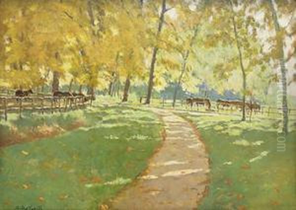 Cavalli Nel Parco - view 1