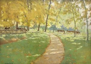 Cavalli Nel Parco by Mario Giuseppe Bettinelli
