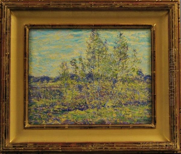 Spring Landscape - view 1