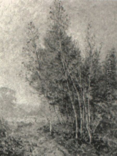 Roadside Birches - view 1