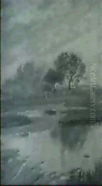 Salt Marshes In Autumn - view 1
