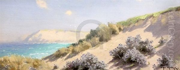 Coastal Landscapes - view 1