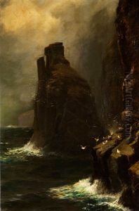 Romantische Kustenlandschaft Mit Steilem Felsen, Von Mowen Bevolkert Romantische Kustenlandschaft Mit Steilem Felsen, Von Mowen Bevolkert