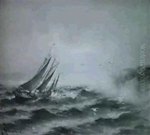 Marin Med Segelbat