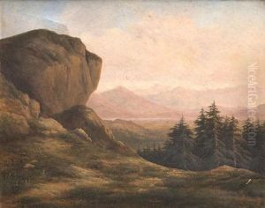 Paysage Aux Rochers Et Sapins