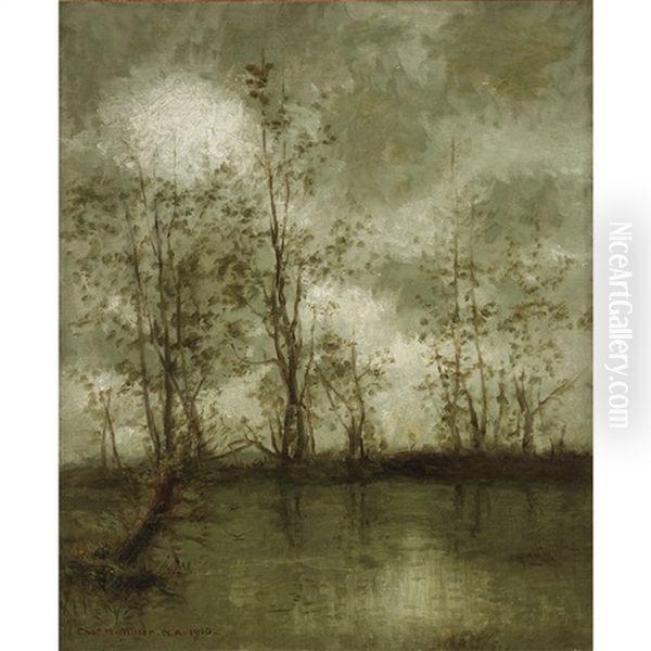 A Gray Day Reverie - view 1