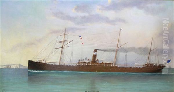 The Steam Ship S.s. Warrnambool Passing Dover Strait - view 1